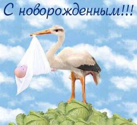 Открытка. Открытки на день рождения для детей Поздравление с рождением сына, картинка на рождение мальчика, картинка с новорожденным Поздравление с рождением сына, картинка на рождение сыночка, картинка с новорожденным, поздравить с днем рождения мальчика, открытка с рождением сына, поздравляю с новорожденным, картинка с рождение малыша, поздравить с рождением малыша, картинка с рождением ребенка, открытка на рождение ребенка