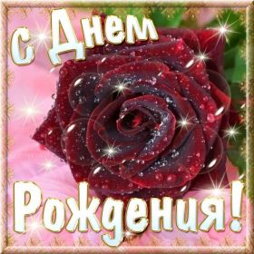 Открытка. Открытки на день рождения с цветами Открытка цветы на день рождения, картинка цветы на день рождения Открытка цветы на день рождения, картинка цветы на день рождения, поздравить с днем рождения цветы, картинка на день рождения с цветами, стихи и цветы на день рождения