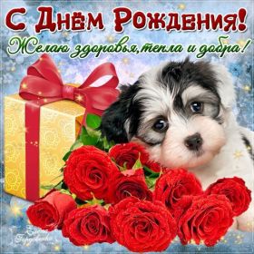 Открытка. Открытки на день рождения с цветами Открытка цветы на день рождения, картинка цветы на день рождения Открытка цветы на день рождения, картинка цветы на день рождения, поздравить с днем рождения цветы, картинка на день рождения с цветами, стихи и цветы на день рождения