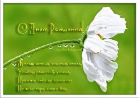 Открытка. Открытки на день рождения с цветами Открытка цветы на день рождения, картинка цветы на день рождения Открытка цветы на день рождения, картинка цветы на день рождения, поздравить с днем рождения цветы, картинка на день рождения с цветами, стихи и цветы на день рождения