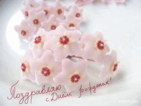 Открытка. Открытки на день рождения с цветами Открытка цветы на день рождения, картинка цветы на день рождения Открытка цветы на день рождения, картинка цветы на день рождения, поздравить с днем рождения цветы, картинка на день рождения с цветами, стихи и цветы на день рождения