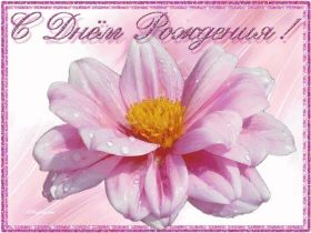 Открытка. Открытки на день рождения с цветами Открытка цветы на день рождения, картинка цветы на день рождения Открытка цветы на день рождения, картинка цветы на день рождения, поздравить с днем рождения цветы, картинка на день рождения с цветами, стихи и цветы на день рождения