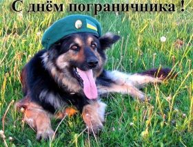 Открытка. День пограничника День пограничника, картинка на день пограничника, открытка с днем пограничника, поздравить с днем пограничника День пограничника, картинка на день пограничника, открытка с днем пограничника, поздравить с днем пограничника, поздравление на день пограничника, праздник 28 мая, поздравление для коллег