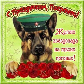 Открытка. День пограничника День пограничника, картинка на день пограничника, открытка с днем пограничника, поздравить с днем пограничника День пограничника, картинка на день пограничника, открытка с днем пограничника, поздравить с днем пограничника, поздравление на день пограничника, праздник 28 мая, поздравление для коллег
