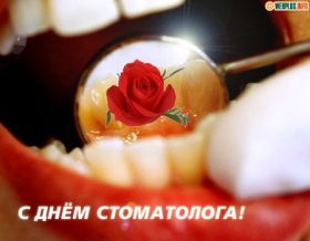 Открытка. День стоматолога Поздравления с днем стоматолога Картинки и открытки на международный день стоматолога