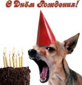 Открытка. Прикольные картинки на день рождения Прикольная картинка с днём рождения, прикол на день рождения Прикольная картинка с днём рождения, прикол на день рождения, прикольная картинка на день рождения, поздравить с днем рождения прикол, смешная картинка на день рождения