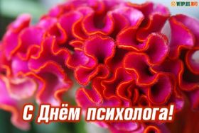 Открытка. День психолога День психолога, картинка на день психолога, открытка с днем психолога День психолога, картинка на день психолога, открытка с днем психолога, поздравить с днем психолога, поздравление на день психолога, праздник 10 октября, поздравление для коллег