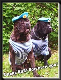 Открытка. День ВДВ Картинка день ВДВ, поздравление с днем ВДВ, день ВДВ, поздравить с днем военно десантных войск Картинка день ВДВ, поздравление с днем военно десантных войск, день военно десантных войск, поздравить с днем ВДВ, праздник 2 августа, профессиональный праздник день шахтера, открытка на день ВДВ, открытки для коллег