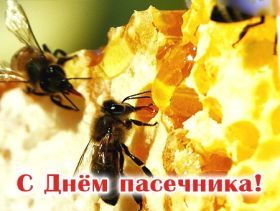 Открытка. День пасечника Картинка день пасечника, поздравление с днем пасечника, день пасечника Картинка день пасечника, поздравление с днем пасечника, день пасечника, поздравить с днем пасечника, праздник 19 августа, профессиональный праздник день пасечника, открытка на день пасечника, открытки для коллег