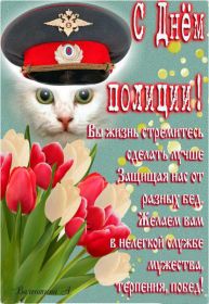 Открытка. День полиции Картинка день полиции, поздравление с днем полиции, день полиции Картинка день полиции, поздравление с днем полиции, день полиции, праздник 10 ноября, профессиональный праздник день полиции, поздравить с днем полиции, открытки для коллег