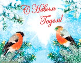 Открытка. Анимации с Новым Годом Анимашки с Новым Годом, живые картинки на Новый Год, гифки Новый год Анимашки с Новым Годом, живые картинки на Новый Год, гифки Новый год, картинки с Новым годом gif, блестящие картинки с Новым Годом, анимация Новый Год, анимационная картинка на Новый Год