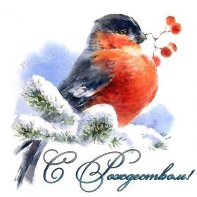 Открытка. Открытки на Рождество Картинка Рождество, открытка с Рождеством, поздравить с Рождеством Картинка Рождество, открытка с Рождеством, поздравить с Рождеством, поздравление на Рождество, счастливого Рождества, с наступающим Рождеством, с Рождеством Христовым