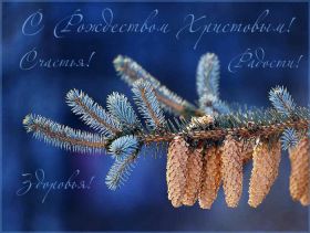 Открытка. Открытки на Рождество Картинка Рождество, открытка с Рождеством, поздравить с Рождеством Картинка Рождество, открытка с Рождеством, поздравить с Рождеством, поздравление на Рождество, счастливого Рождества, с наступающим Рождеством, с Рождеством Христовым