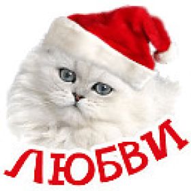 Открытка. Надписи с Новым Годом Надпись Новый год, надписи про новый год, надписи к новому году Надпись Новый год, надписи про новый год, надписи к новому году, пожелания на новый год, фразы про новый год, слова про новый год, поздравления с новым годом