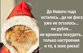 Открытка. Открытки на Новый Год Поздравить с Новым Годом, поздравление на Новый Год, картинка Новый Год Поздравить с Новым Годом, поздравление на Новый Год, картинка Новый Год, открытка на новый год, с новым годом, новый год, картинка со стихами на новый год, открытка на новый год и рождество