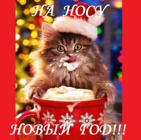 Открытка. Открытки на Новый Год Поздравить с Новым Годом, поздравление на Новый Год, картинка Новый Год Поздравить с Новым Годом, поздравление на Новый Год, картинка Новый Год, открытка на новый год, с новым годом, новый год, картинка со стихами на новый год, открытка на новый год и рождество