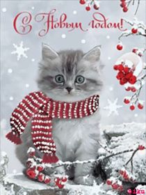 Открытка. Открытки на Новый Год Поздравить с Новым Годом, поздравление на Новый Год, картинка Новый Год Поздравить с Новым Годом, поздравление на Новый Год, картинка Новый Год, открытка на новый год, с новым годом, новый год, картинка со стихами на новый год, открытка на новый год и рождество