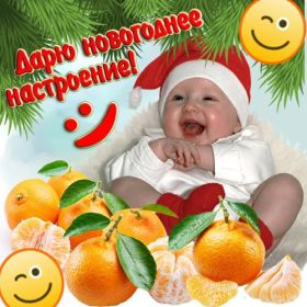 Открытка. Открытки на Новый Год Поздравить с Новым Годом, поздравление на Новый Год, картинка Новый Год Поздравить с Новым Годом, поздравление на Новый Год, картинка Новый Год, открытка на новый год, с новым годом, новый год, картинка со стихами на новый год, открытка на новый год и рождество