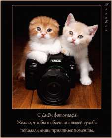 Открытки день фотографа Открытка профессиональный праздник день фотографа поздравления Открытки картинки на день фотографа, открытка картинка с днём фотографа, поздравления с днём фотографа, красивые открытки картинки с днём фотографа скачать бесплатно