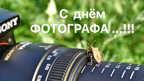 Открытки день фотографа Открытка профессиональный праздник день фотографа поздравления Открытки картинки на день фотографа, открытка картинка с днём фотографа, поздравления с днём фотографа, красивые открытки картинки с днём фотографа скачать бесплатно