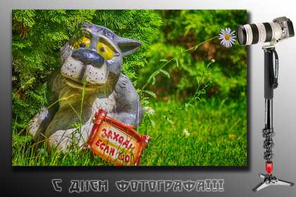 Открытки день фотографа Открытка профессиональный праздник день фотографа поздравления Открытки картинки на день фотографа, открытка картинка с днём фотографа, поздравления с днём фотографа, красивые открытки картинки с днём фотографа скачать бесплатно