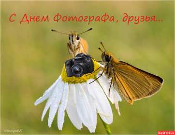 Открытки день фотографа Открытка с поздравлениями на день фотографа, с днём фотографа Открытка день фотографа, картинка с днём фотографа, красивые открытки картинки профессиональный праздник день фотографа, с днём фотографа, на день фотографа скачать бесплатно