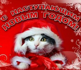 Открытка. Открытки с наступающим Новым Годом Картинка с наступающим новым годом, открытка с наступающим новым годом Картинка с наступающим новым годом, открытка с наступающим новым годом, поздравить с наступающим новым годом, поздравление с наступающим новым годом, скоро новый год