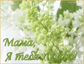 Открытка. День матери Поздравить с Днем матери, картинка на День матери, День мамы Поздравить с Днем матери, картинка на День матери, День мамы, праздник последнее воскресенье ноября, поздравление на День матери, открытка с Днём матери, поздравить маму с праздником