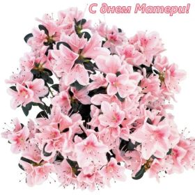 Открытка. День матери Поздравить с Днем матери, картинка на День матери, День мамы Поздравить с Днем матери, картинка на День матери, День мамы, праздник последнее воскресенье ноября, поздравление на День матери, открытка с Днём матери, поздравить маму с праздником
