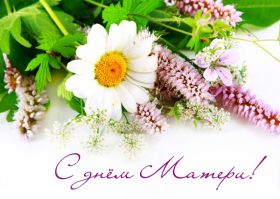 Открытка. День матери Поздравить с Днем матери, картинка на День матери, День мамы Поздравить с Днем матери, картинка на День матери, День мамы, праздник последнее воскресенье ноября, поздравление на День матери, открытка с Днём матери, поздравить маму с праздником