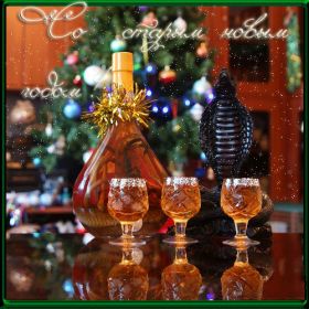 Открытка. Открытки на Старый Новый Год Старый Новый Год, 13 января, поздравить со старым новым годом Старый Новый Год, 13 января, поздравить со старым новым годом, картинка на старый новый год, открытка на старый новый год, прикол про старый новый год, поздравление на старый новый год