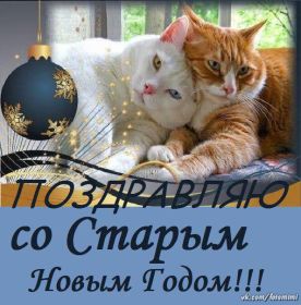 Открытка. Открытки на Старый Новый Год Старый Новый Год, 13 января, поздравить со старым новым годом Старый Новый Год, 13 января, поздравить со старым новым годом, картинка на старый новый год, открытка на старый новый год, прикол про старый новый год, поздравление на старый новый год