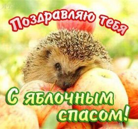 Открытка. Яблочный спас Яблочный спас, картинки Яблочный спас, открытки Яблочный спас, поздравить с Яблочным спасом Яблочный спас, картинки Яблочный спас, открытки Яблочный спас, поздравить с Яблочным спасом, праздник 19 августа, преображение Господне, поздравить с преображением