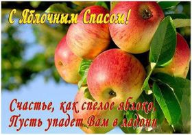 Открытка. Яблочный спас Яблочный спас, картинки Яблочный спас, открытки Яблочный спас, поздравить с Яблочным спасом Яблочный спас, картинки Яблочный спас, открытки Яблочный спас, поздравить с Яблочным спасом, праздник 19 августа, преображение Господне, поздравить с преображением
