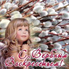 Открытка. Вербное воскресение Вербное воскресенье, поздравить с вербным воскресеньем, картинка Вербное воскресенье Вербное воскресенье, поздравить с вербным воскресеньем, картинка Вербное воскресенье, Вербное воскресенье 2018, праздник Вербное воскресенье, с вербным вочкресеньем