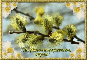 Открытка. Вербное воскресение Вербное воскресенье, поздравить с вербным воскресеньем, картинка Вербное воскресенье Вербное воскресенье, поздравить с вербным воскресеньем, картинка Вербное воскресенье, Вербное воскресенье 2018, праздник Вербное воскресенье, с вербным вочкресеньем