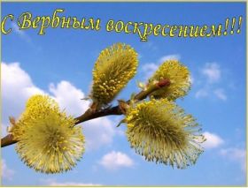 Открытка. Вербное воскресение Вербное воскресенье, поздравить с вербным воскресеньем, картинка Вербное воскресенье Вербное воскресенье, поздравить с вербным воскресеньем, картинка Вербное воскресенье, Вербное воскресенье 2018, праздник Вербное воскресенье, с вербным вочкресеньем