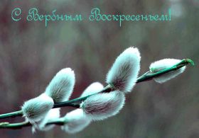 Открытка. Вербное воскресение Вербное воскресенье, поздравить с вербным воскресеньем, картинка Вербное воскресенье Вербное воскресенье гифка, поздравить с вербным воскресеньем анимация, блестящая картинка Вербное воскресенье, gif Вербное воскресенье
