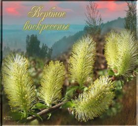 Открытка. Вербное воскресение Вербное воскресенье, поздравить с вербным воскресеньем, картинка Вербное воскресенье Вербное воскресенье гифка, поздравить с вербным воскресеньем анимация, блестящая картинка Вербное воскресенье, gif Вербное воскресенье