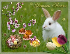 Открытка. Пасха Пасха, гифка на Пасху, живые картинки с Пасхой, Пасха 2022 2023 2024, поздравить с Пасхой Пасха, гифка на Пасху, живые картинки с Пасхой, Пасха 2022 2023 2024, поздравить с Пасхой, блестящие картинки на Пасху, gif Пасха, анимация Пасха, блестящие стикеры на Пасху