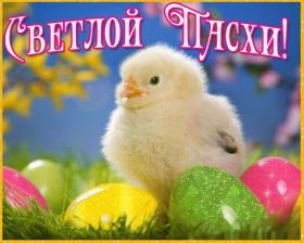 Открытка. Пасха Пасха, картинки на Пасху, картинки с Пасхой, Пасха 2022 2023 2024, поздравить с Пасхой Пасха, картинки на Пасху, картинки с Пасхой, Пасха 2022 2023 2024, поздравить с Пасхой, поздравление с Пасхой, поздравление на Пасху, пасхальные картинки, пасхальное поздравление