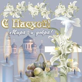Открытка. Пасха Пасха, картинки на Пасху, картинки с Пасхой, Пасха 2022 2023 2024, поздравить с Пасхой Пасха, картинки на Пасху, картинки с Пасхой, Пасха 2022 2023 2024, поздравить с Пасхой, поздравление с Пасхой, поздравление на Пасху, пасхальные картинки, пасхальное поздравление