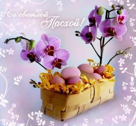 Открытка. Пасха Пасха, картинки на Пасху, картинки с Пасхой, Пасха 2022 2023 2024, поздравить с Пасхой Пасха, картинки на Пасху, картинки с Пасхой, Пасха 2022 2023 2024, поздравить с Пасхой, поздравление с Пасхой, поздравление на Пасху, пасхальные картинки, пасхальное поздравление