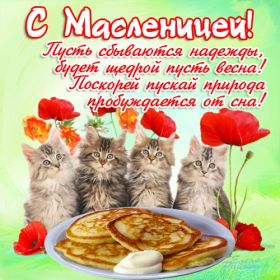Открытка. Масленица Поздравить с масленицей, масленица 2018, картинка масленица Поздравить с масленицей, масленица 2018, картинка масленица, прикольная открытка на масленицу, веселая картинка с масленицей, прикол масленица, блины на масленицу