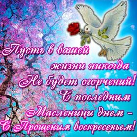 Открытка. Прощеное воскресенье Картинка прощеное воскресенье, открытка на Прощеное воскресенье, с прощеным воскресеньем Картинка прощеное воскресенье, открытка на Прощеное воскресенье, с прощеным воскресеньем, стихи на прощеное воскресенье, святое воскресенье, прости меня, прости за все и я тебе прощаю, гифка прощеное воскресенье, блестящие открытки на прощеное воскресенье