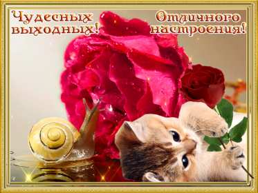 Открытки выходные Открытка выходные, с выходными, с выходным днём, пожелания хороших выходных Открытка картнка выходные, с выходными, открытки картинки выходные дни, с выходным днём, с выходными, хороших выходных, красивые открытки с выходными скачать бесплатно