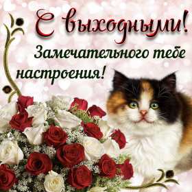 Открытки выходные Открытка выходные, с выходными, с выходным днём, пожелания хороших выходных Открытка картнка выходные, с выходными, открытки картинки выходные дни, с выходным днём, с выходными, хороших выходных, красивые открытки с выходными скачать бесплатно