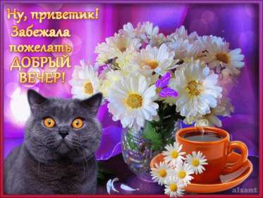 Открытка! Открытка добрый вечер, пожелания доброго вечера, вечернее настроение