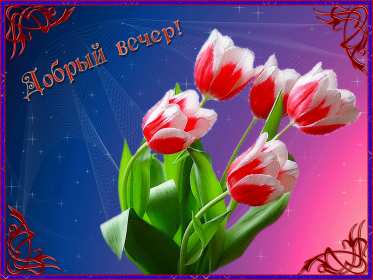 Открытки добрый вечер Открытка добрый вечер, пожелания доброго вечера, вечернее настроение Открытка картинка открытки картинки с пожеланиями доброго вечера, добрый вечер, открытка картинка добрый вечер, вечерок, хорошего вечера, уютного вечера скачать бесплатно