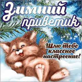 Открытки зимний привет Открытка зимний привет, приветик, зимнее приветствие, привет зимний Открытка открытки картинка картинки с зимним приветом, приветик зимний, зимняя открытка зимний привет, зима привет, картинка зимний привет, приветик скачать бесплатно